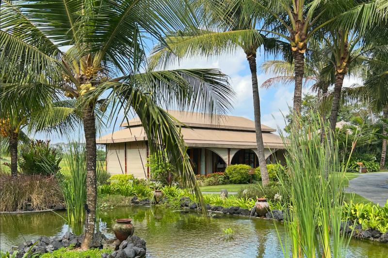 «Для балийцев мы щедрее, чем экономные европейцы». История россиянки, переехавшей на Бали