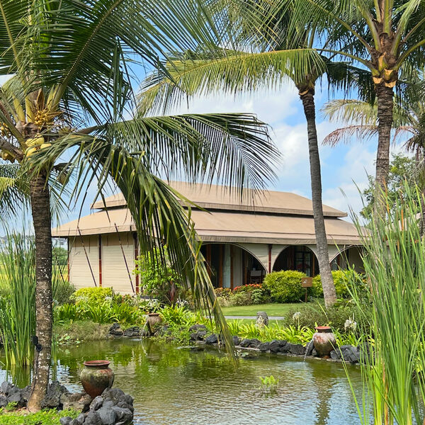 «Для балийцев мы щедрее, чем экономные европейцы». История россиянки, переехавшей на Бали