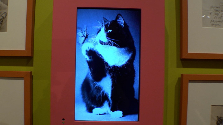 На выставке в Музее Чайковского оживили фотографии питомцев известных музыкантов - Новости на Вести.ru